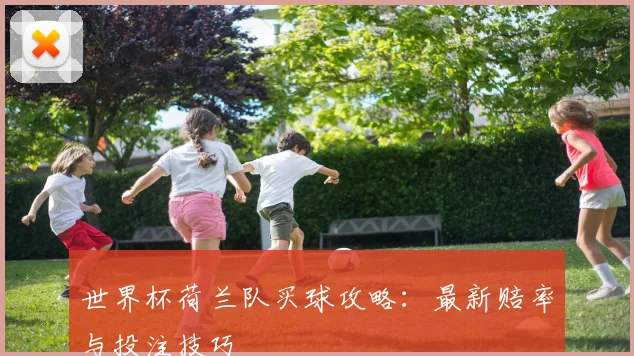 世界杯荷兰队买球攻略：最新赔率与投注技巧
