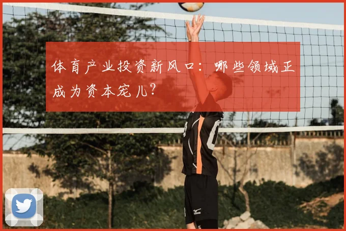 体育产业投资新风口：哪些领域正成为资本宠儿？