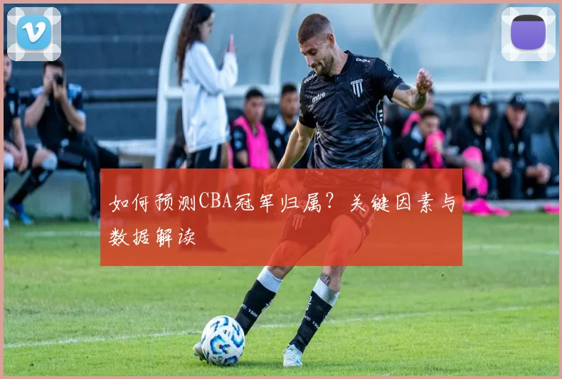 如何预测CBA冠军归属？关键因素与数据解读